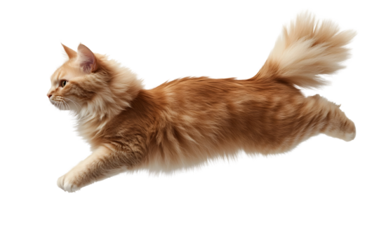 Playful Ginger Cat in Mid-Flight with Soft Fur and Energetic Stance