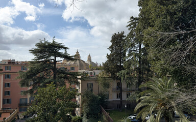 old house in the park