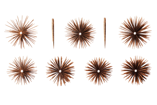 Decorative paper fans on black background, cut out transparent