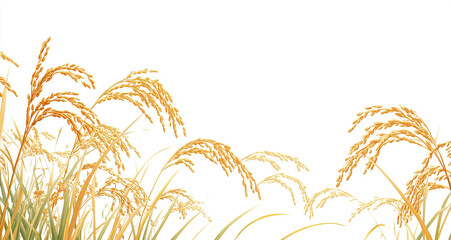 Golden paddy plants with ripe grains swaying gently in the wind, set against a clear white backdrop, highlighting their agricultural importance and beauty.