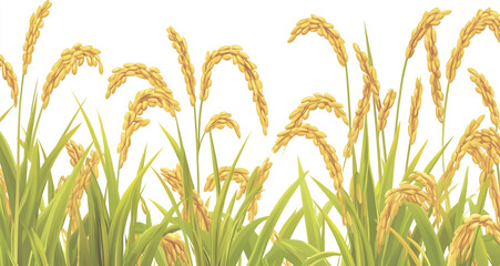 Golden paddy plants with ripe grains swaying gently in the wind, set against a clear white backdrop, highlighting their agricultural importance and beauty.