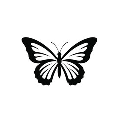 butterfly on white background