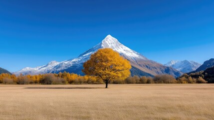Fototapeta premium Majestic mountain peak with vibrant fall foliage. Golden autumn tree stands tall against a backdrop of snowy peaks