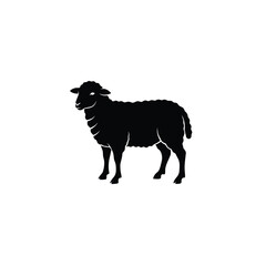 black and white sheep