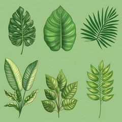 Fototapeta premium Illustration of Various Green Leaves Representing Ecology and Nature