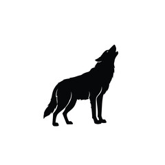 wolf vector illustration