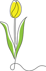 Tulip flower in continuous line art drawing style. Minimalist black linear sketch isolated on white background. Flower vector illustration