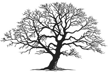 2 Stark bare tree silhouette, intricate branching pattern, black and white illustration, graphic design style, minimalist artwork, winter landscape element, high contrast, isolated on white background