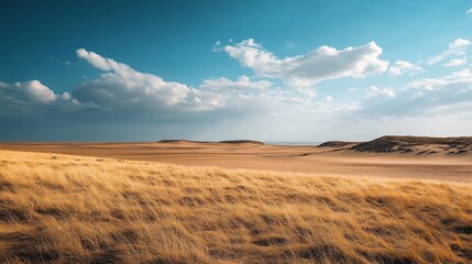Fototapeta premium Forgotten Landscape with Barren Trees and Rustic Wood Fence Stock Photo