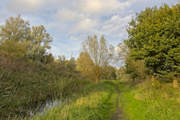 Landscape with creek with willow trees reflecting in the water and hiking trail on a sunny winter day in Oude Kalevallei nature reserve in Vinderhoute, Flanders, Belgium 