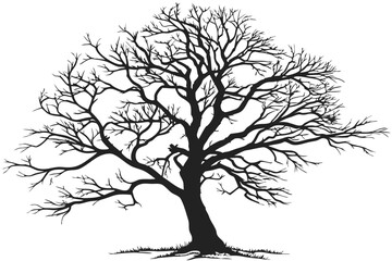 2 Stark bare tree silhouette, intricate branching pattern, black and white illustration, graphic design style, minimalist artwork, winter landscape element, high contrast, isolated on white background