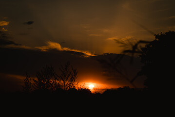Nature silhouettes and sun during sunset