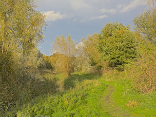 Hiking trail along a creek with grass, reed and trees on a sunny autumn day in Oude Kale nature...