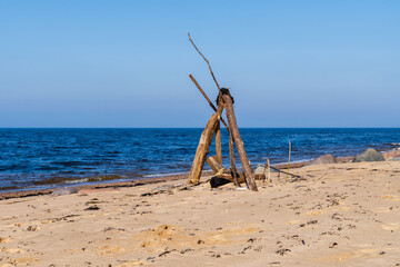 Driftwood Sculpture on Sandy Beach with Calm Sea and Clear Blue Sky