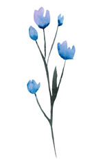 Watercolor light blue wildflowers isolated illustration, romantic floral wedding element