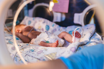 Nurse Administering Milk to Premature Baby