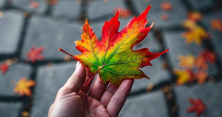 A crimson maple leaf floats softly, swirling in the cool air before settling gently on my open hand, its fragile veins outlining nature's last whisper of the season. - Powered by Adobe
