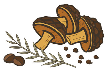 12 Dried mushroom slices, chaga mushroom, medicinal fungi, dark brown and orange hues, rough textured surface, organic shapes, natural health supplement, earthy tones, detailed close-up, white backgro