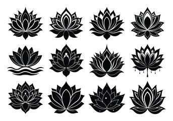 set of black and white flowers