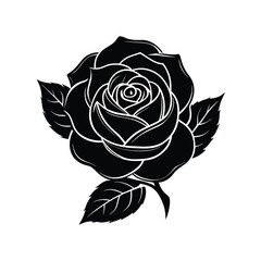 vector rose flower with white background