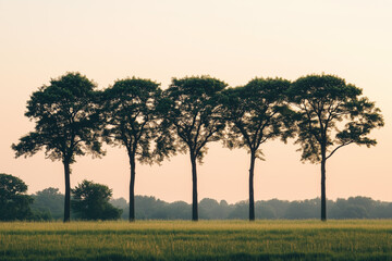 Fototapeta premium Landscape view of tree on meadow land and grass field, Selective focus growth tree on wheat farming with perfect proportion.