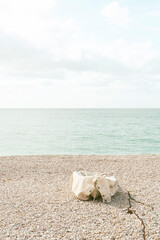 Obraz premium Boat with mooring cover on the beach