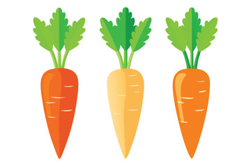 Flat Style Carrots with Green Leaves Orange, Yellow, Vegetable, Healthy Diet Theme