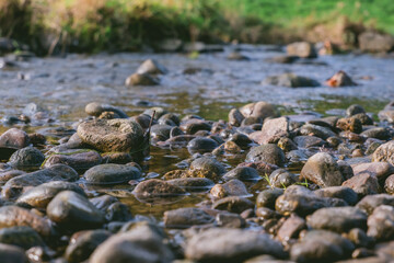 River with a lot of rocks in it