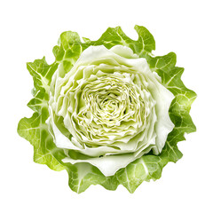 Fototapeta premium Gourmet White Cabbage Rose Fresh Vegetable Detailed Macro Photography Food Nature