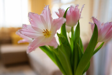 vase of pink dallas tulips in bright yellow living room