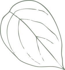 Delicate Leaf Outline