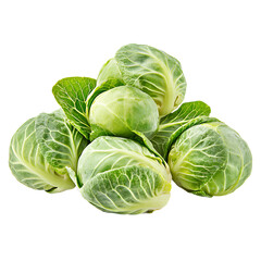 Fototapeta premium Fresh Green Brussels Sprouts Close up Studio Shot of Multiple Healthy Vegetables Food Photography