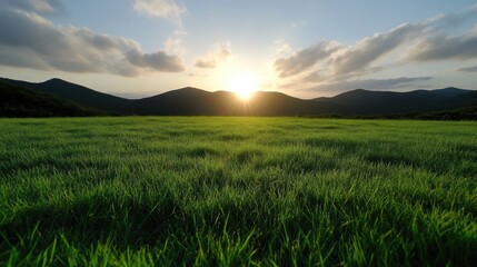 Fototapeta premium Lush green field at sunset over rolling hills (1)