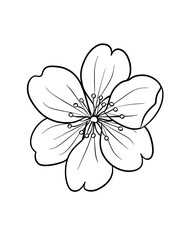 Cherry Blossom Coloring Page – Springtime Floral Illustration