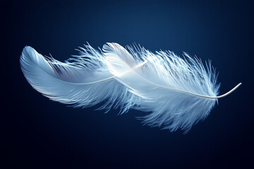 Obraz premium goose feathers