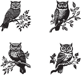set of owls on a branch