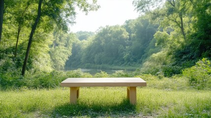 Simple wooden bench in tranquil forest setting overlooking a serene lake. Lush greenery surrounds the bench, bathed in sunlight
