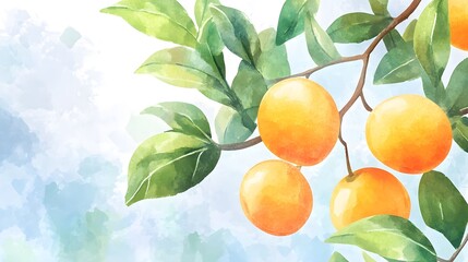 Vibrant Watercolor Apricot Fruit Section Cartoon Vector Illustration for Designs