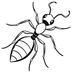 Ant isolated on white background
