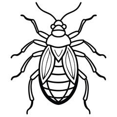 True bugs isolated on white background