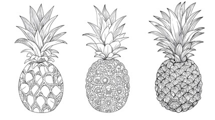 Fototapeta premium Intricate Zentangle Pineapple Doodle Vector with Floral Mandala Design for Creative Projects