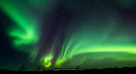 Vibrant Green Aurora Borealis Display Over a Starry Night Sky