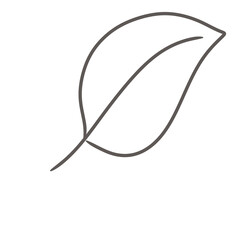 Stylized grey leaf outline illustration art
