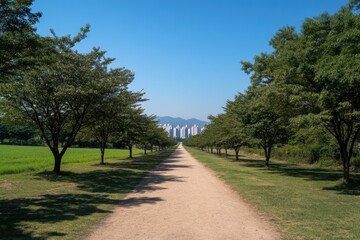 serene country road lined with trees under clear blue sky captures tranquility of rural life