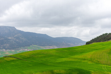 Mountain landscape with green grass in Setif, Algeria.