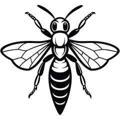 Hornet isolated on white background