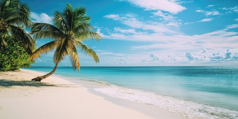 Fototapeta premium The image depicts a serene beach scene with palm trees, white sand, and clear blue waters. It's a sunny day, perfect for relaxation and enjoying an island getaway.