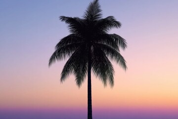 Vivid sunset behind lone tropical palm tree.