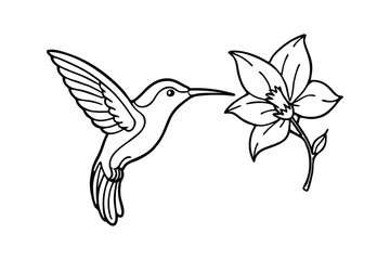 Line art vector illustration of a hummingbird hovering near a flower.eps