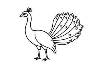 Line art vector illustration of a peacock standing on the ground.eps